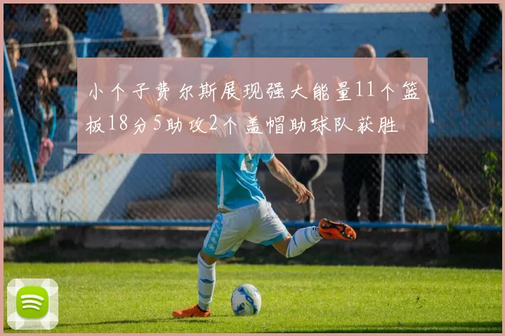 小个子费尔斯展现强大能量11个篮板18分5助攻2个盖帽助球队获胜