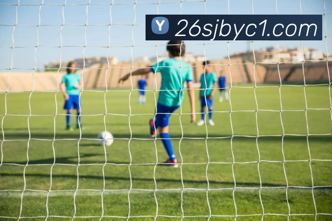世界杯预测网站平台生态图
